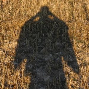 Integra tu sombra / Integrate your Shadow